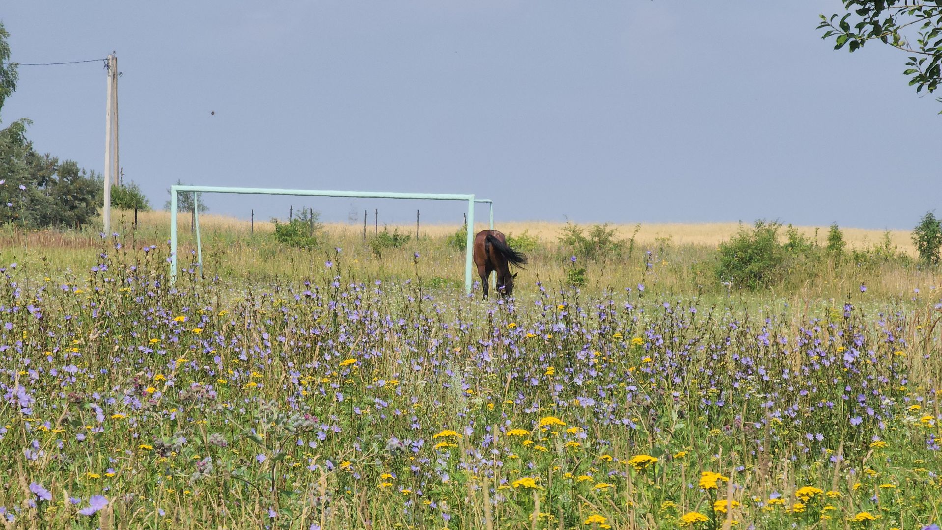кашира, кокино, пешком, народные тропы, школа, библиотека, фап, тротуар,