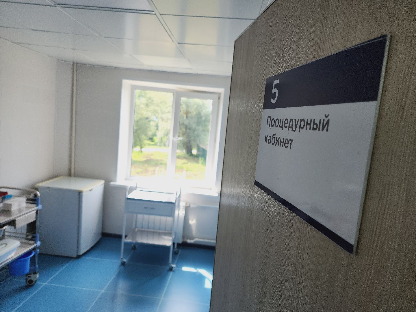 Егорьевск, ФАП, Подмосковье, Московская область, ФАП починки,