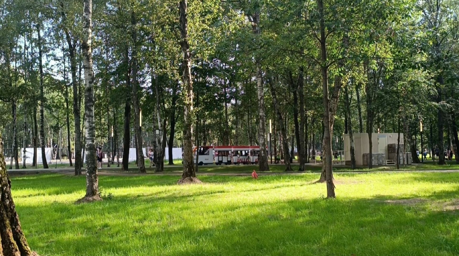 парк, поезд, мцд-1, лобня,