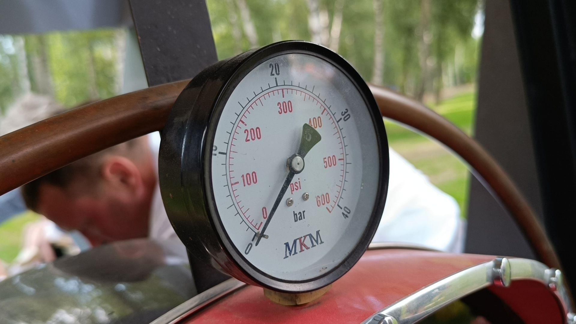 парк, поезд, мцд-1, лобня,