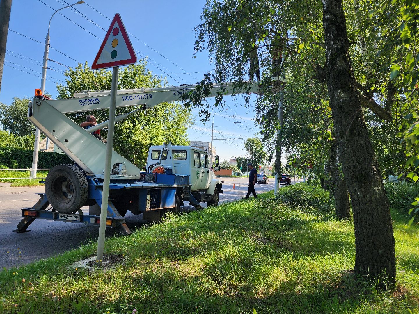Опиловка деревьев, Подольск, Муниципальное предприятие благоустройства, Березы,