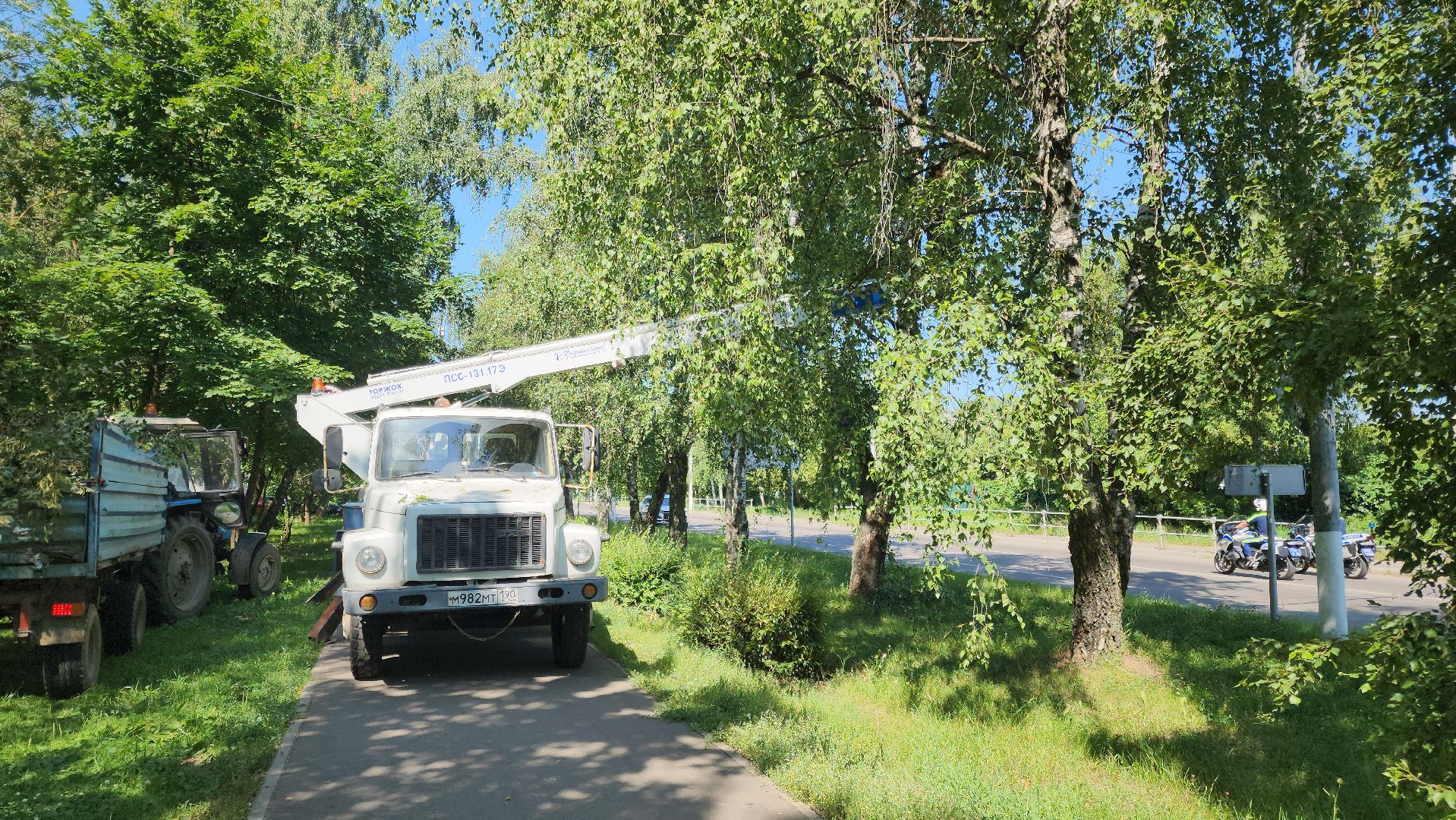 Опиловка деревьев, Подольск, Муниципальное предприятие благоустройства, Березы,