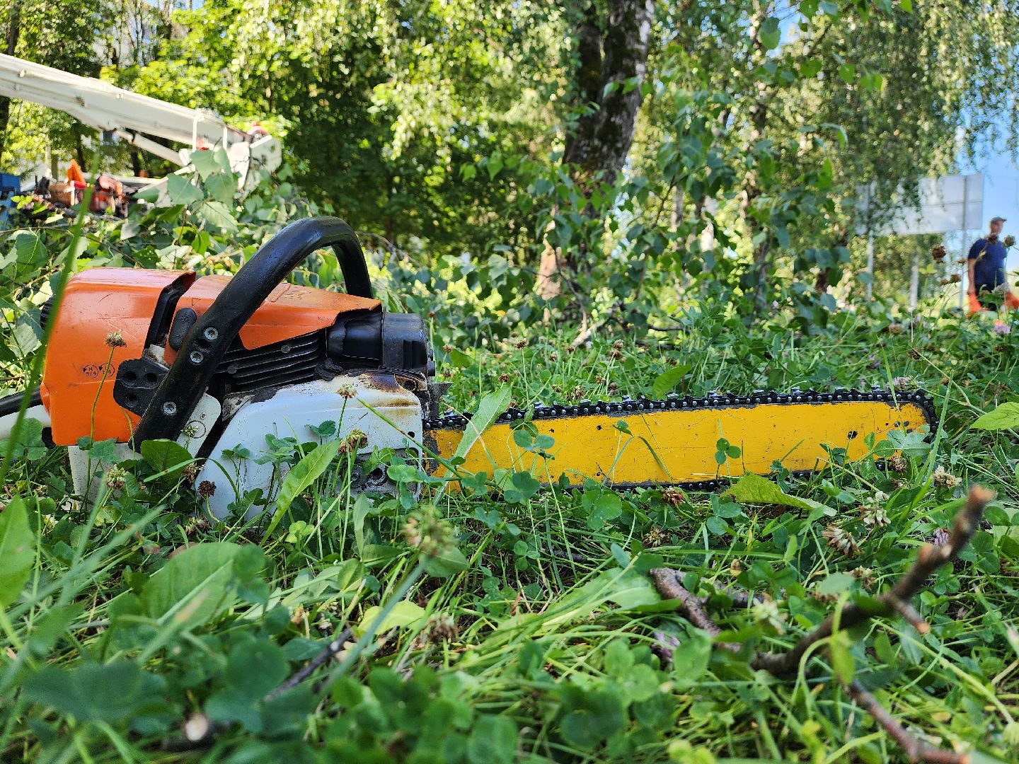 Опиловка деревьев, Подольск, Муниципальное предприятие благоустройства, Березы,