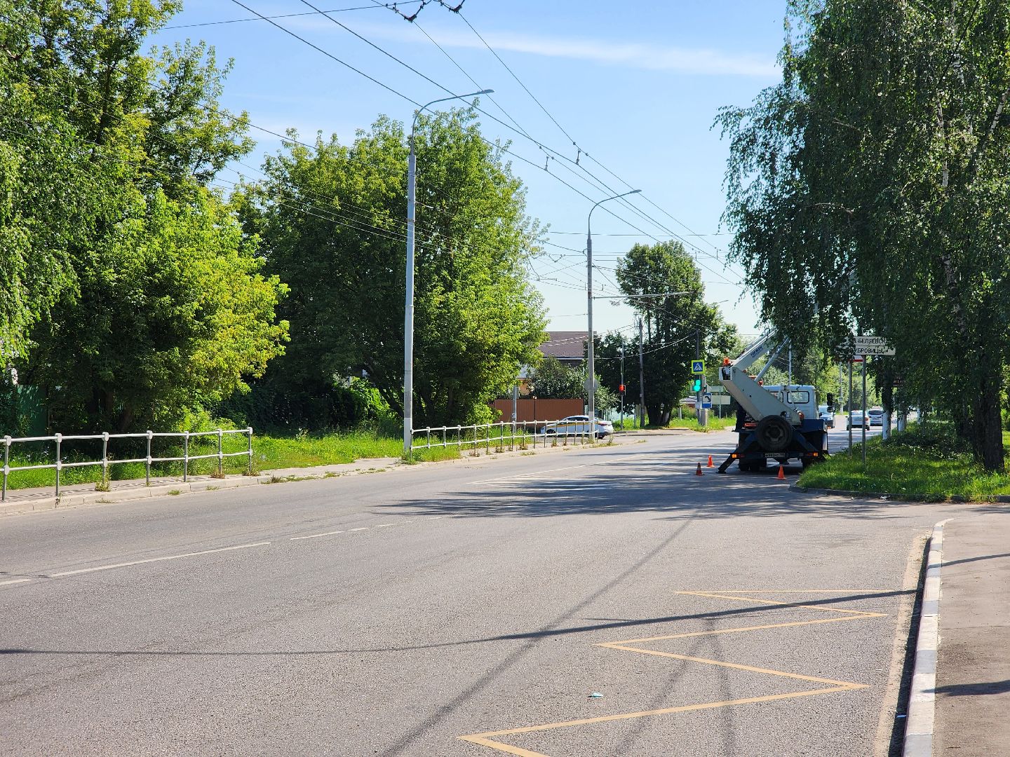 Опиловка деревьев, Подольск, Муниципальное предприятие благоустройства, Березы,