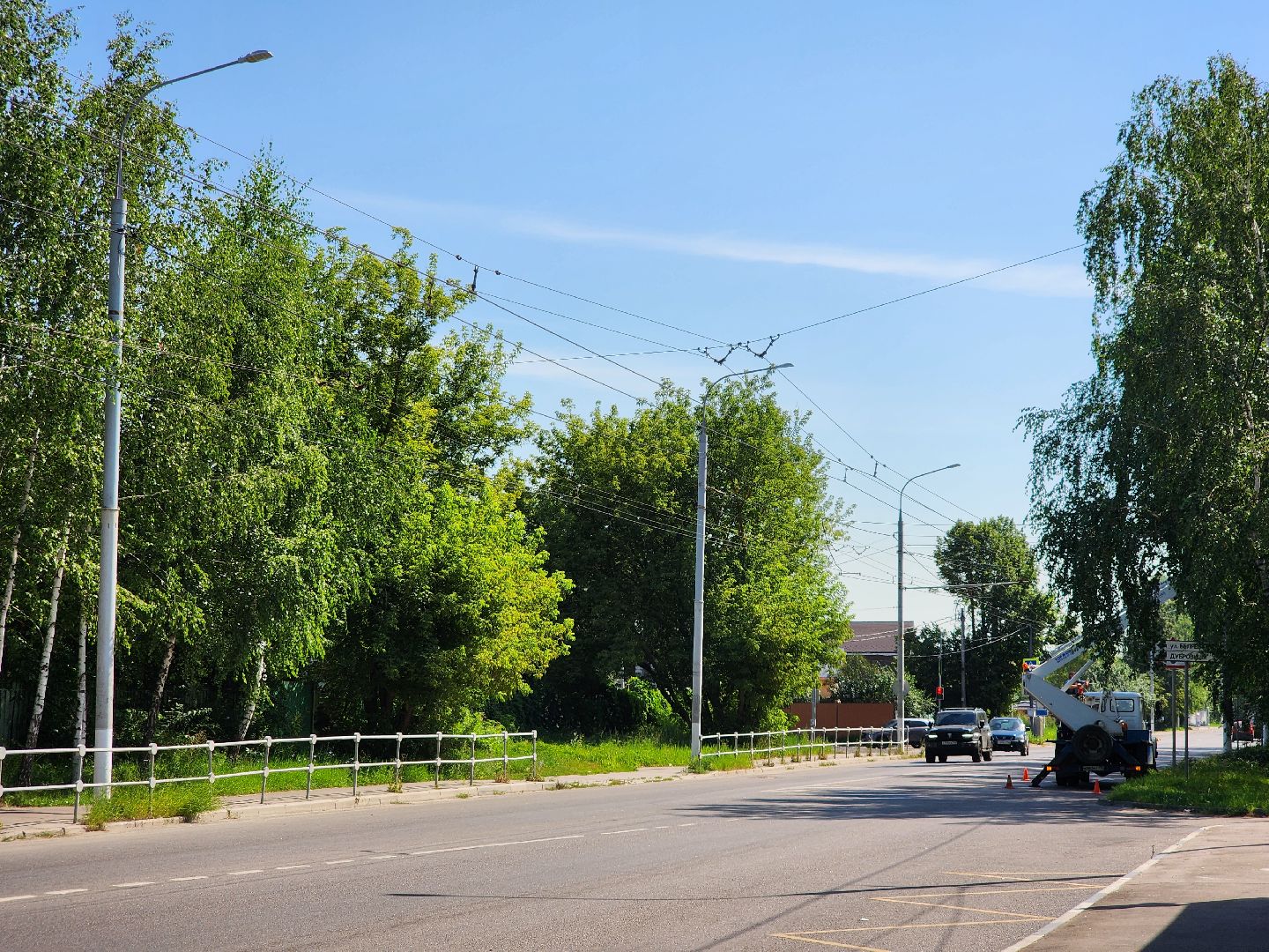 Опиловка деревьев, Подольск, Муниципальное предприятие благоустройства, Березы,