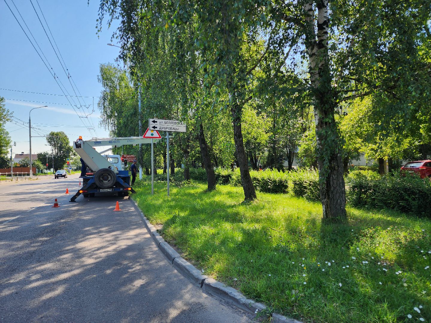 Опиловка деревьев, Подольск, Муниципальное предприятие благоустройства, Березы,