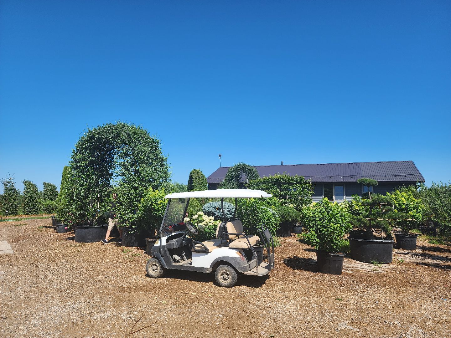 волоколамск, работа, растения,