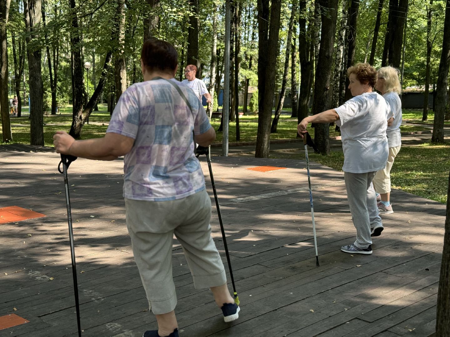 активное долголетие, скандинавская ходьба, центральный парк видного, спорт в ленинском округе, ленинский городской округ,