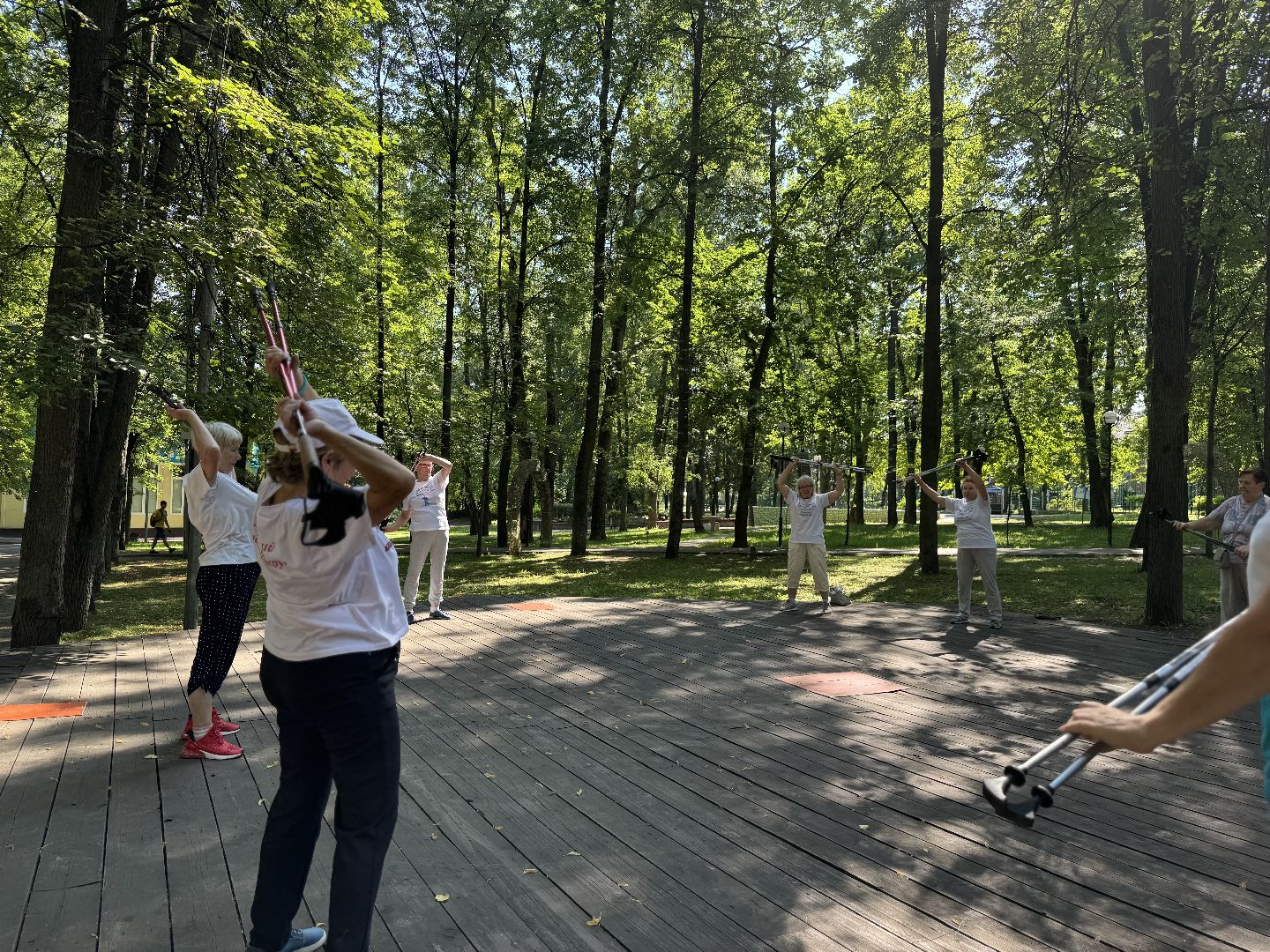 активное долголетие, скандинавская ходьба, центральный парк видного, спорт в ленинском округе, ленинский городской округ,