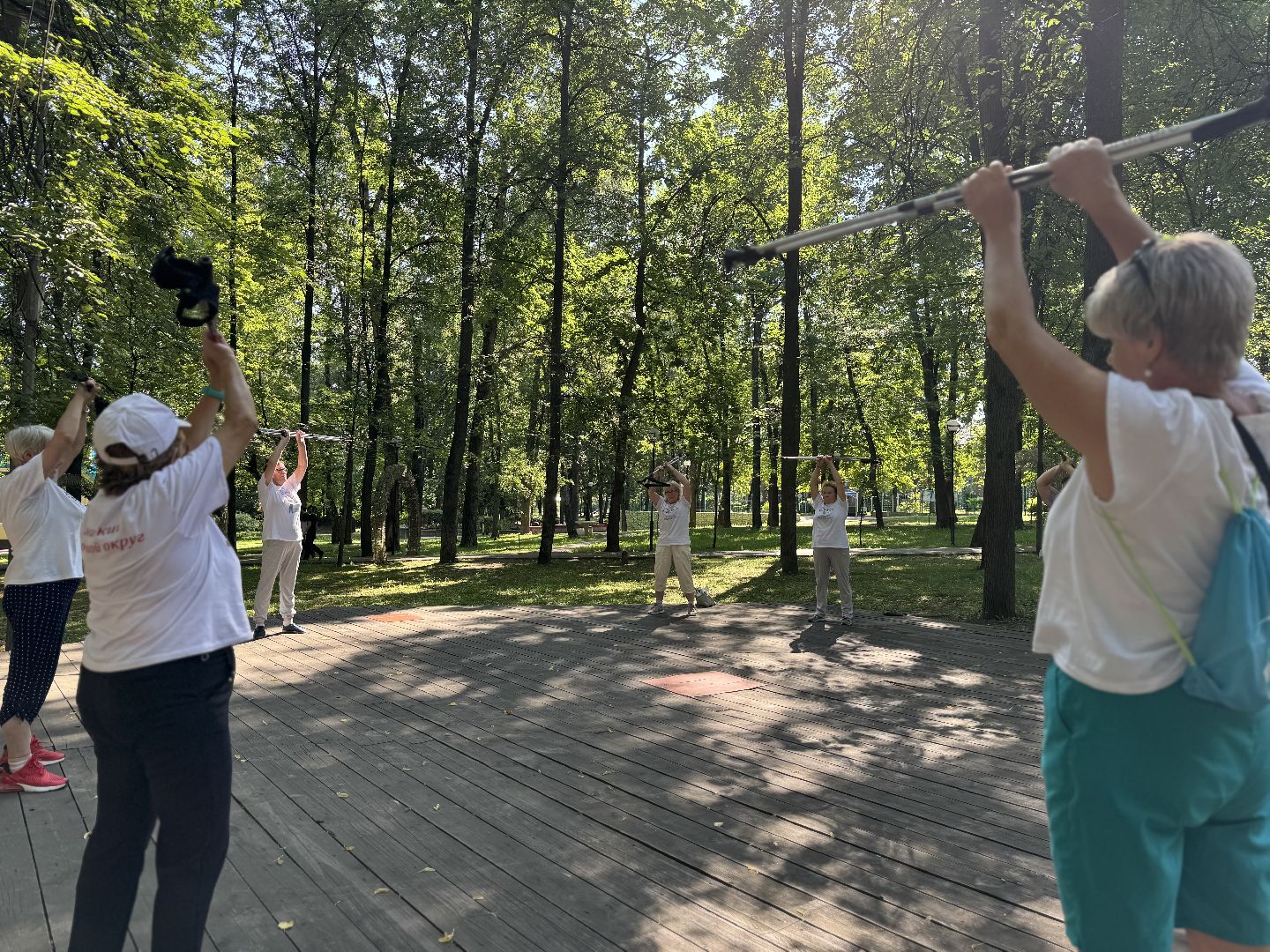 активное долголетие, скандинавская ходьба, центральный парк видного, спорт в ленинском округе, ленинский городской округ,