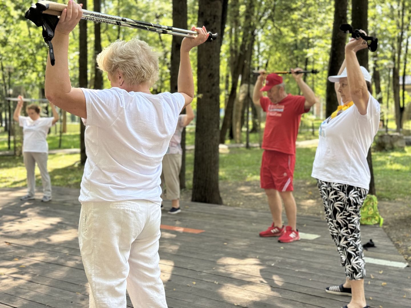 активное долголетие, скандинавская ходьба, центральный парк видного, спорт в ленинском округе, ленинский городской округ,