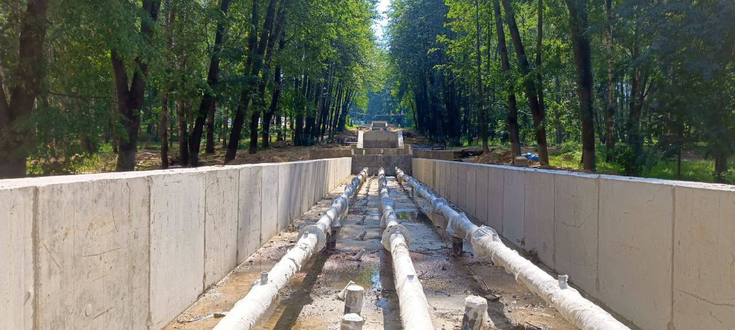 Дмитров, Парк Березовая роща, Минблаго,