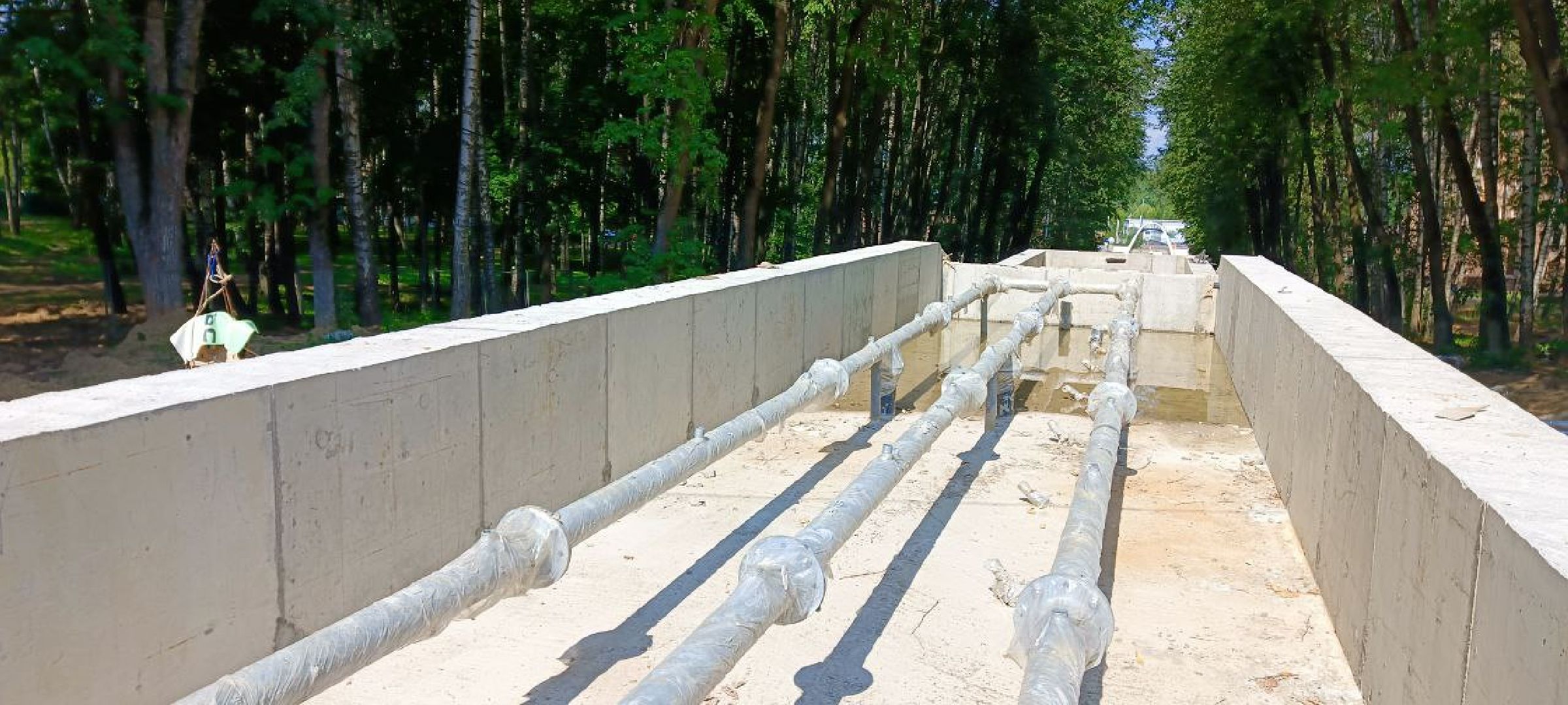 Дмитров, Парк Березовая роща, Минблаго,