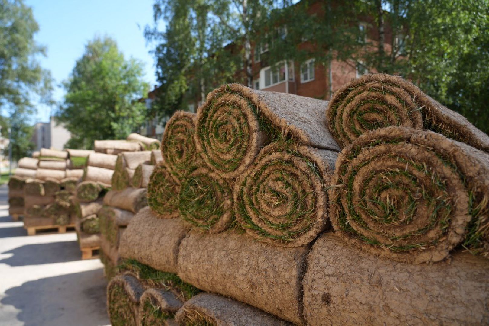 Благоустройство, Дружба поколений, Прогулочная зона, Прогулочный маршрут,