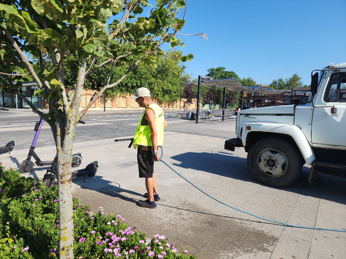 цветы, благоустройство, цветники, клумбы,