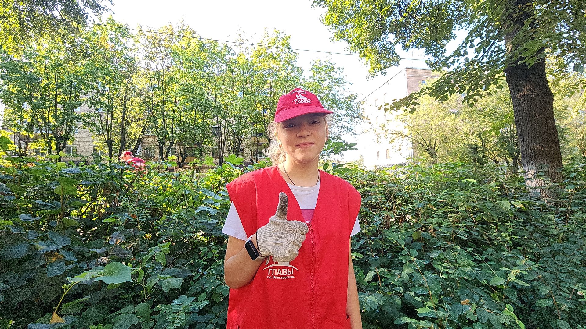 электросталь, мой город, жители города, волонтеры, молодежь, молодежь электростали, трудовые отряды, трудовые бригады,