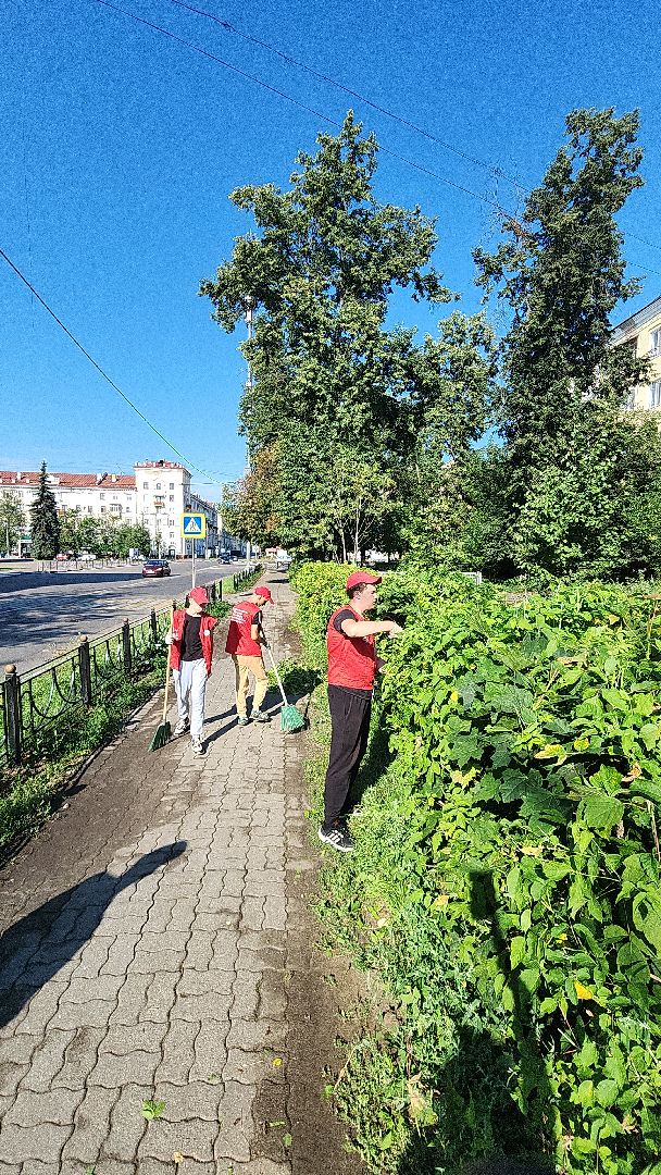 электросталь, мой город, жители города, волонтеры, молодежь, молодежь электростали, трудовые отряды, трудовые бригады,