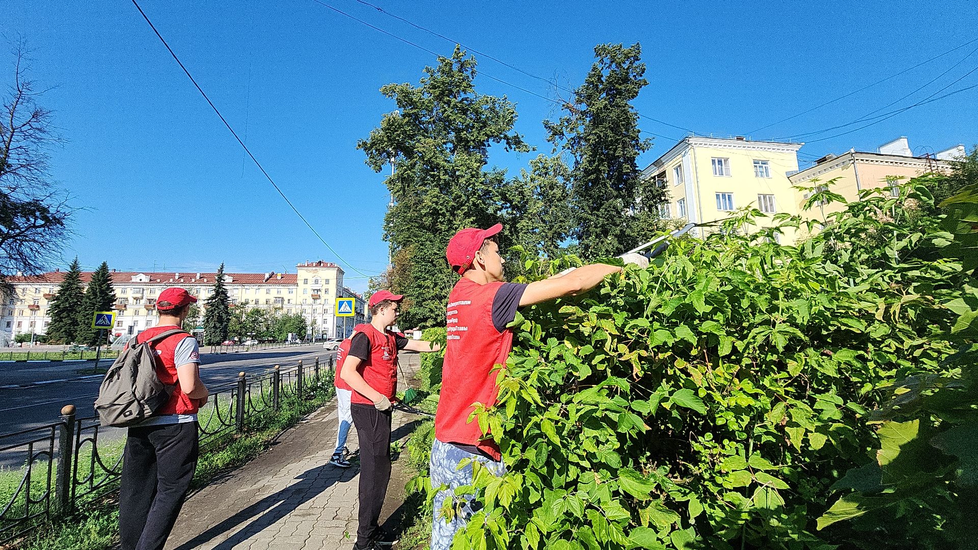 электросталь, мой город, жители города, волонтеры, молодежь, молодежь электростали, трудовые отряды, трудовые бригады,