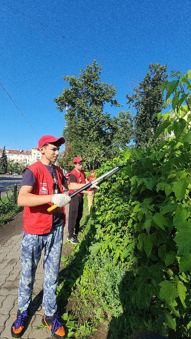 электросталь, мой город, жители города, волонтеры, молодежь, молодежь электростали, трудовые отряды, трудовые бригады,