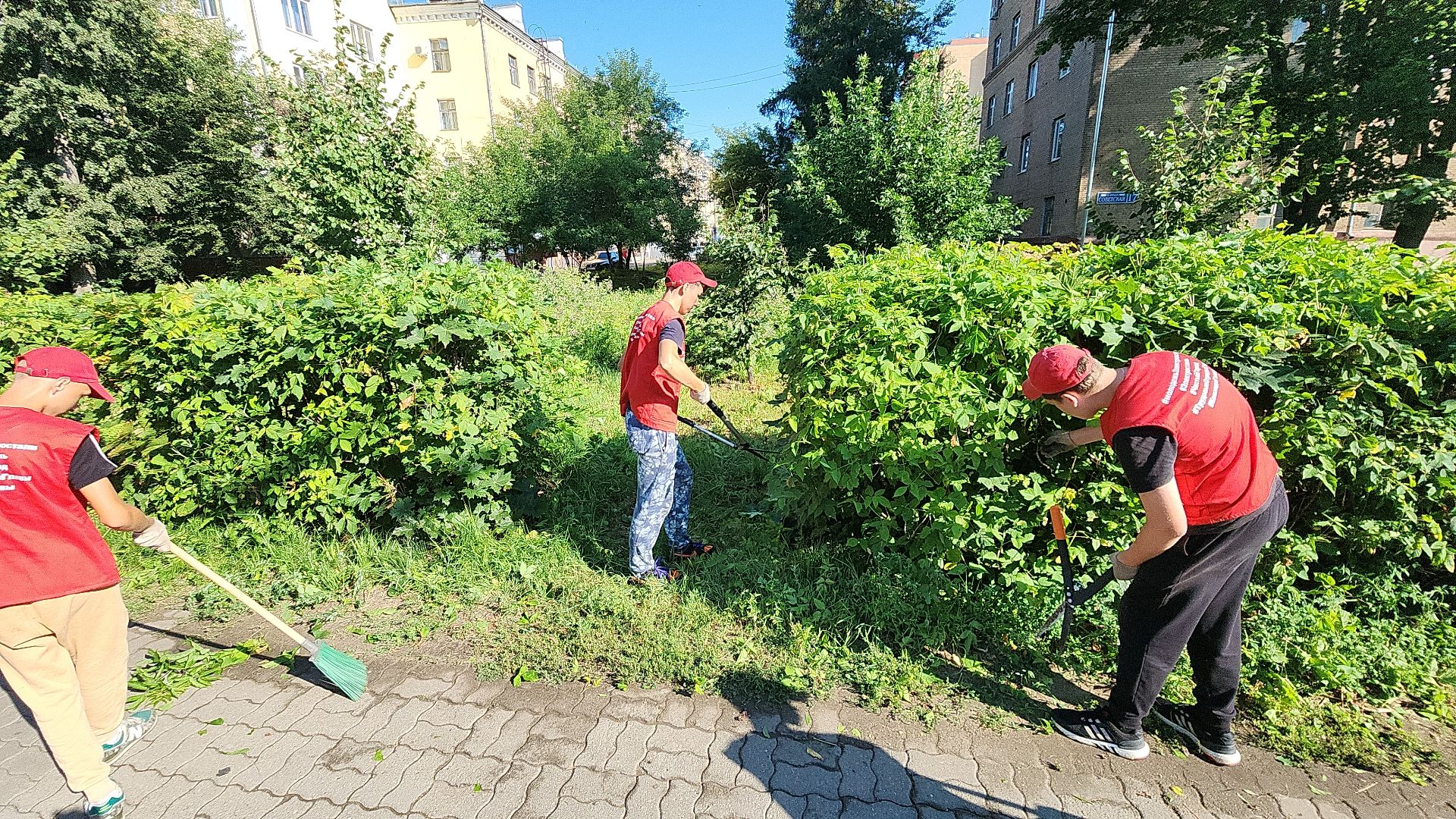 электросталь, мой город, жители города, волонтеры, молодежь, молодежь электростали, трудовые отряды, трудовые бригады,