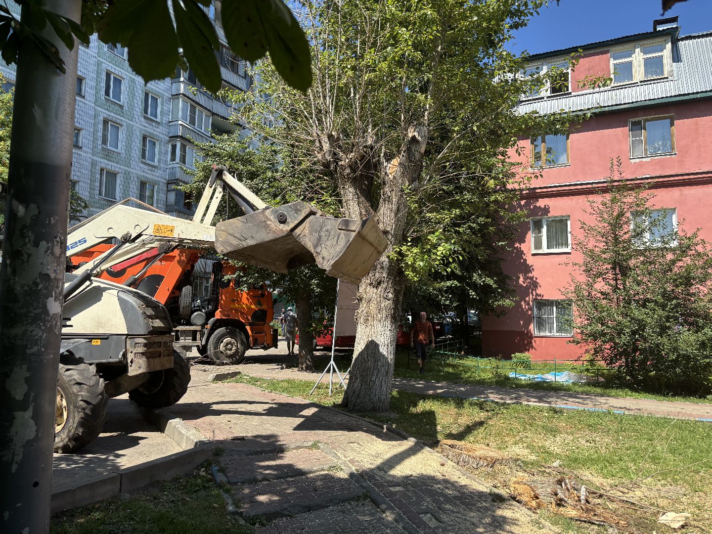 сухостои, мбу благоустройство,Кучино,