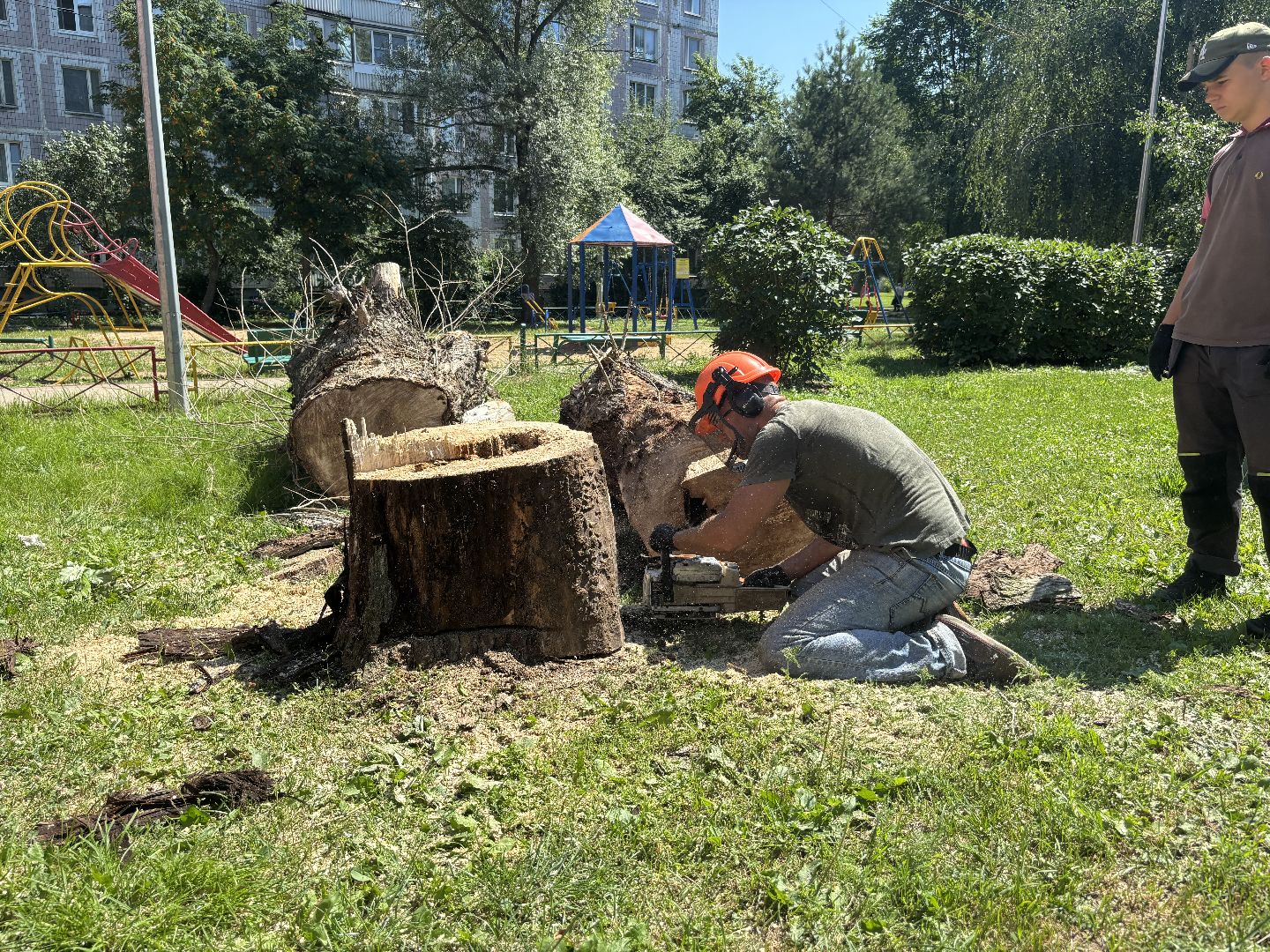 сухостои, мбу благоустройство,Кучино,