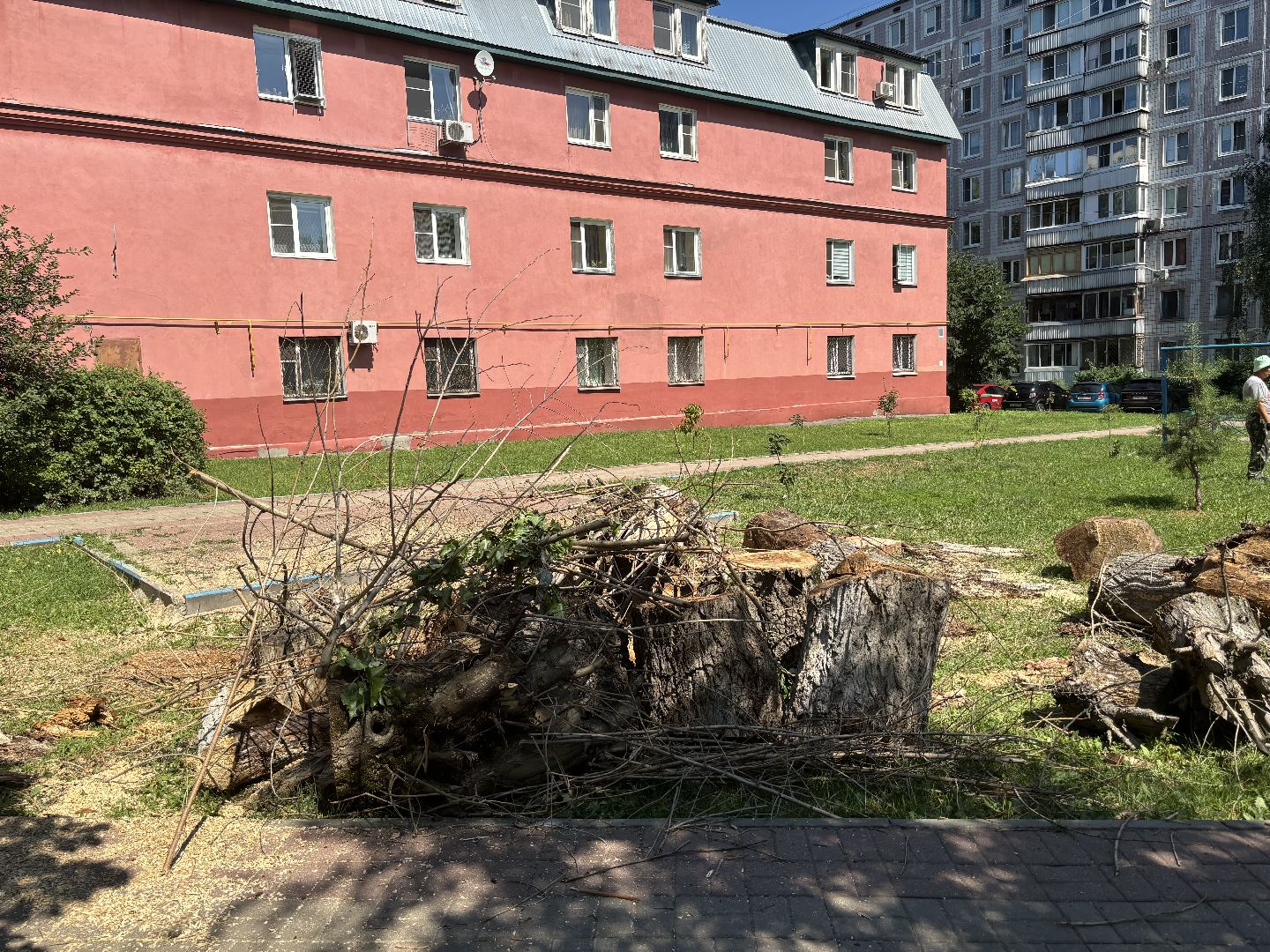 сухостои, мбу благоустройство,Кучино,