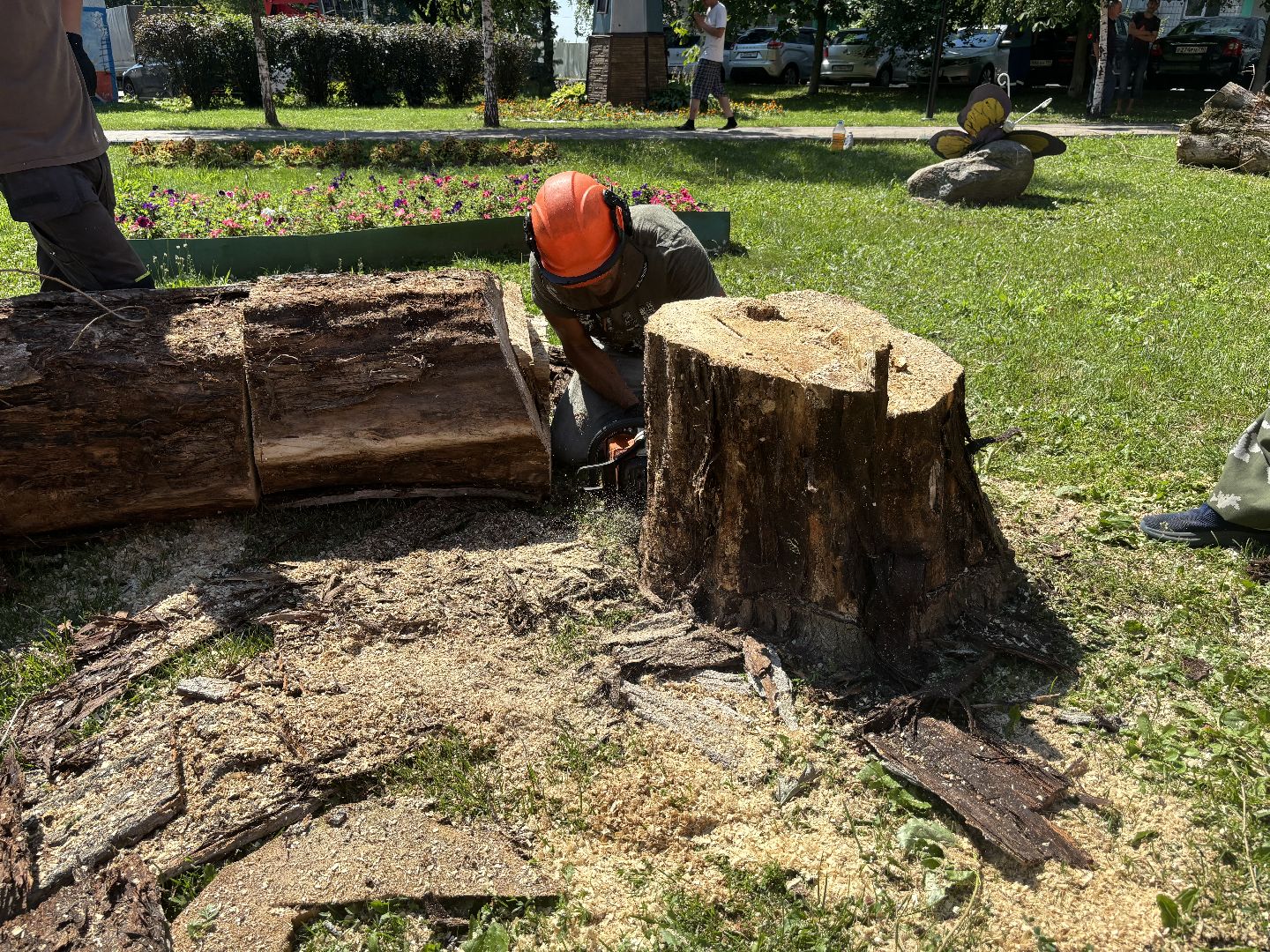 сухостои, мбу благоустройство,Кучино,