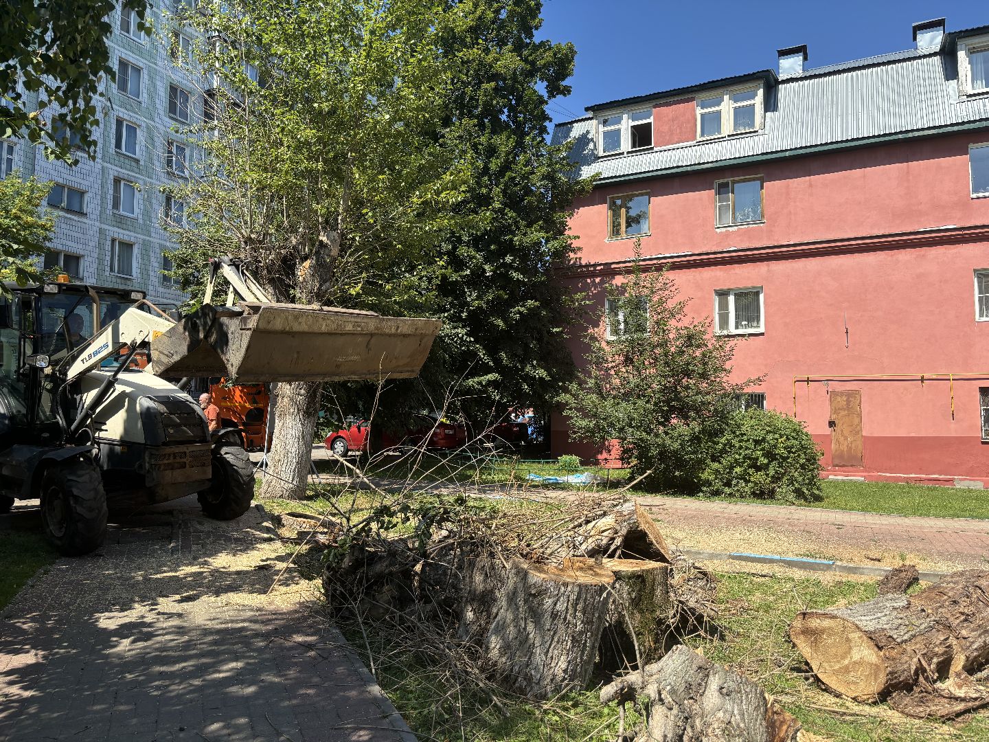 сухостои, мбу благоустройство,Кучино,