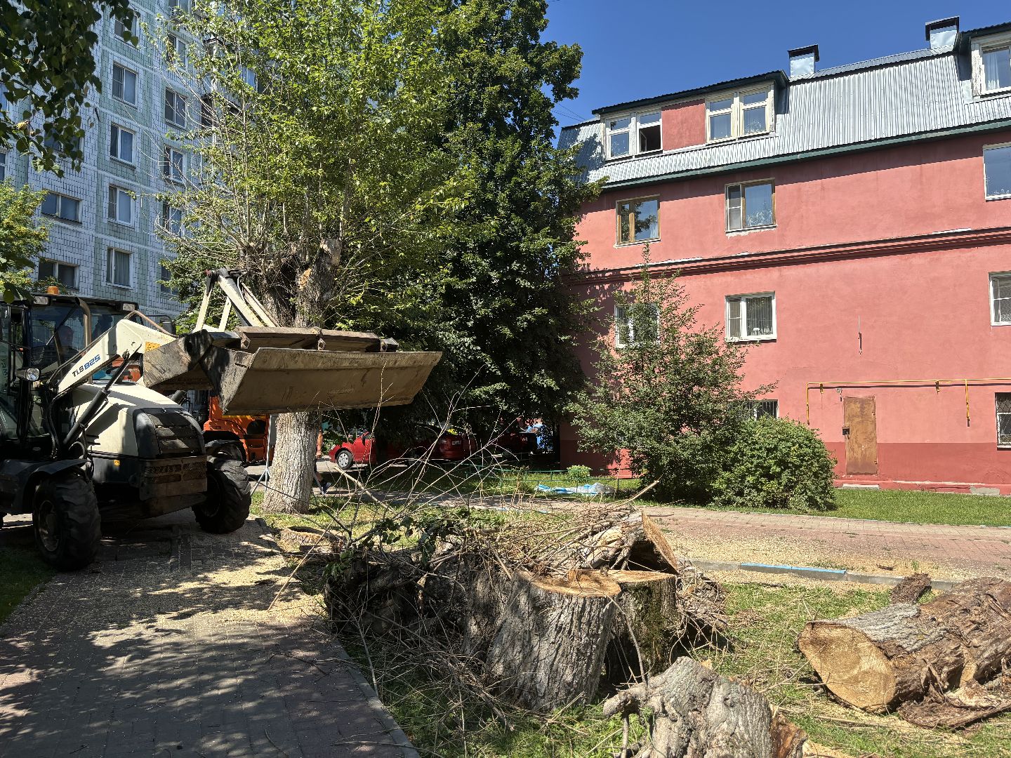 сухостои, мбу благоустройство,Кучино,