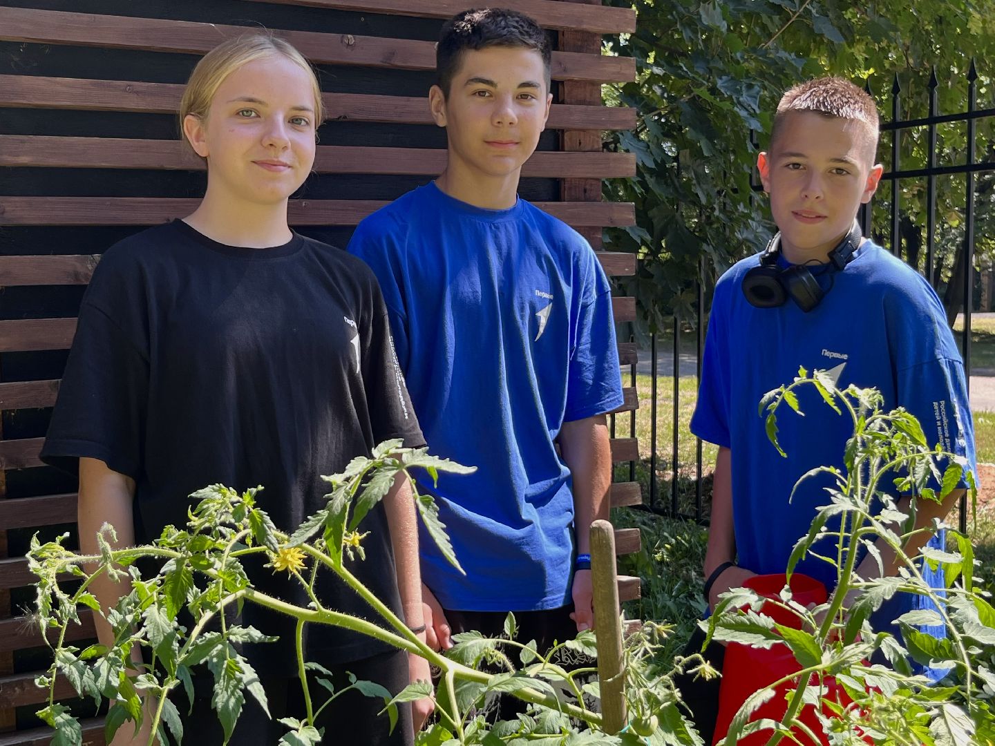наро-фоминск, общественный огород, центральный парк наро-фоминска, урожай 2024,