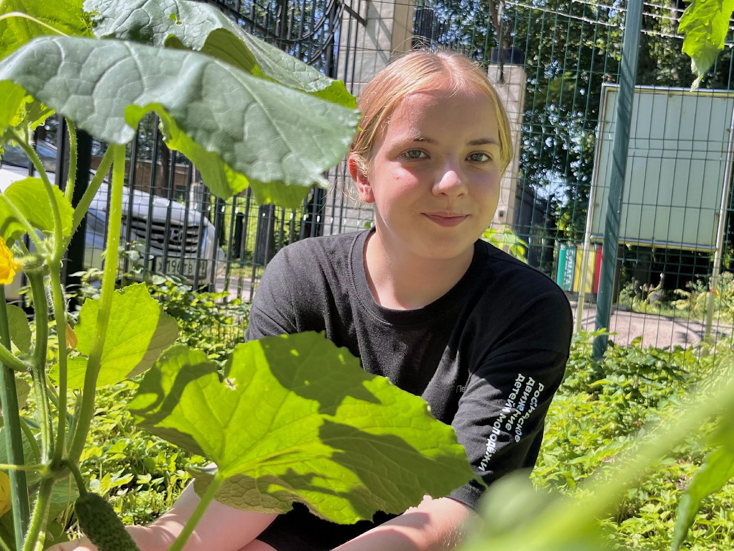 наро-фоминск, общественный огород, центральный парк наро-фоминска, урожай 2024,