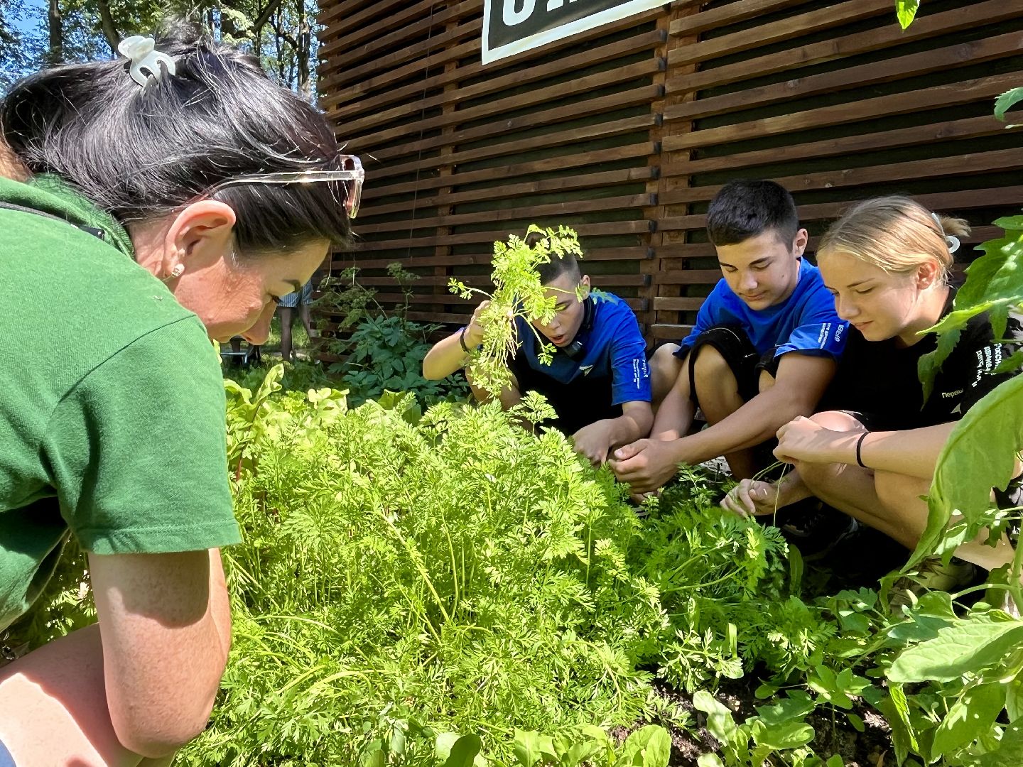 наро-фоминск, общественный огород, центральный парк наро-фоминска, урожай 2024,