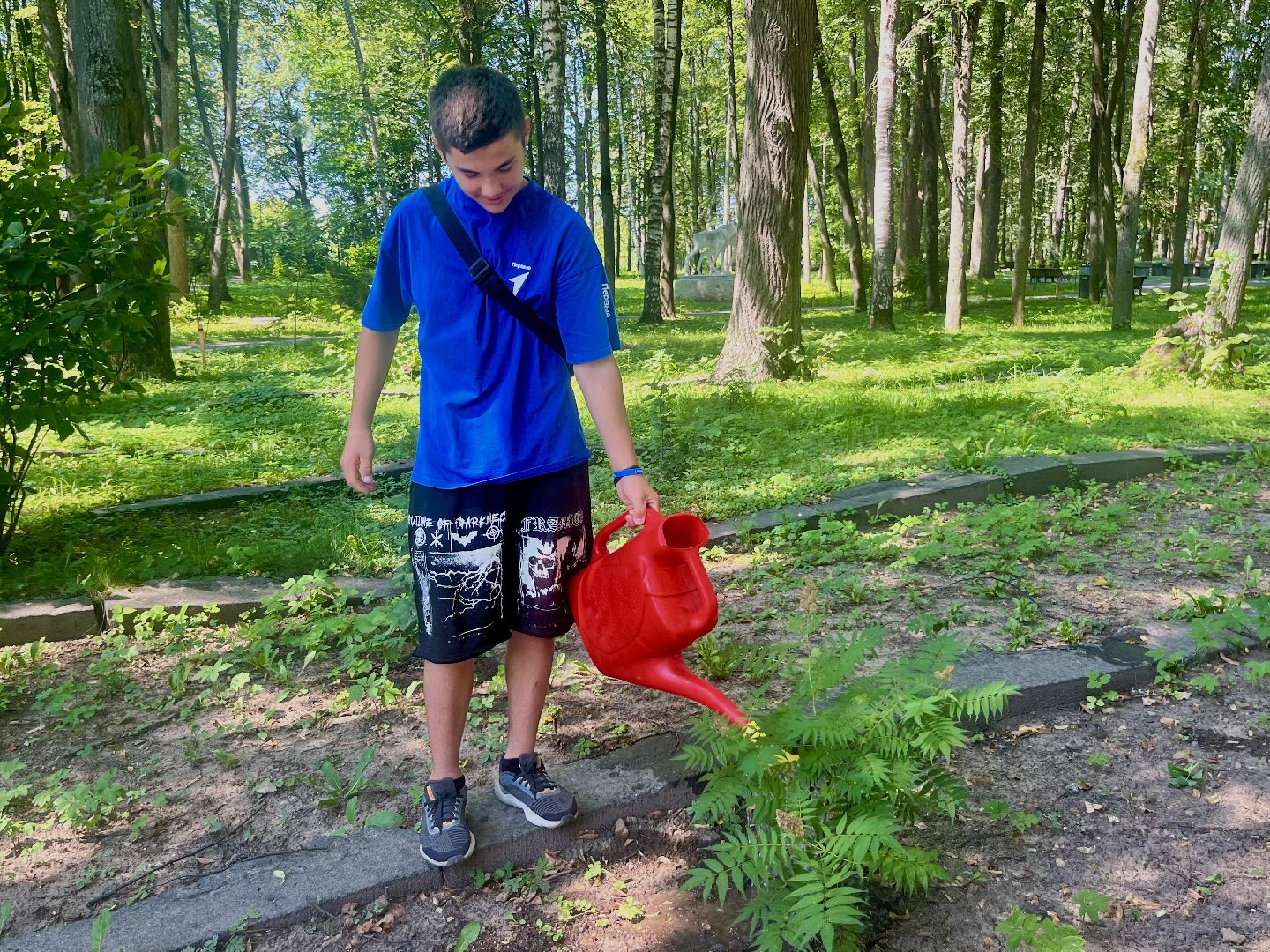 наро-фоминск, общественный огород, центральный парк наро-фоминска, урожай 2024,