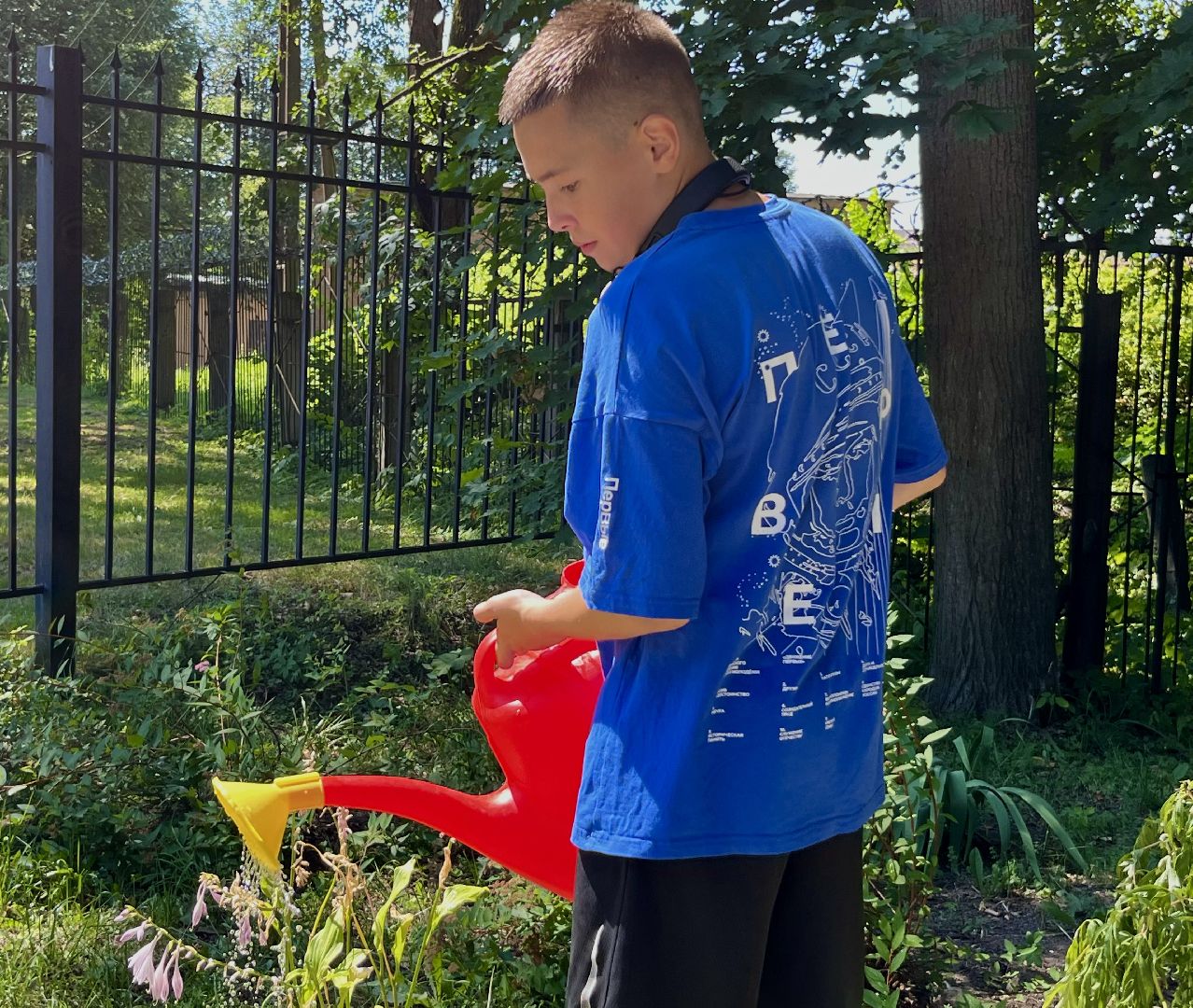 наро-фоминск, общественный огород, центральный парк наро-фоминска, урожай 2024,