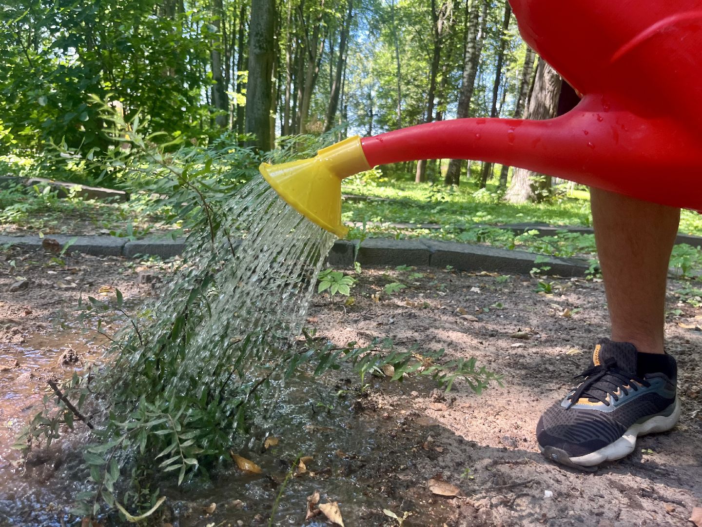 наро-фоминск, общественный огород, центральный парк наро-фоминска, урожай 2024,