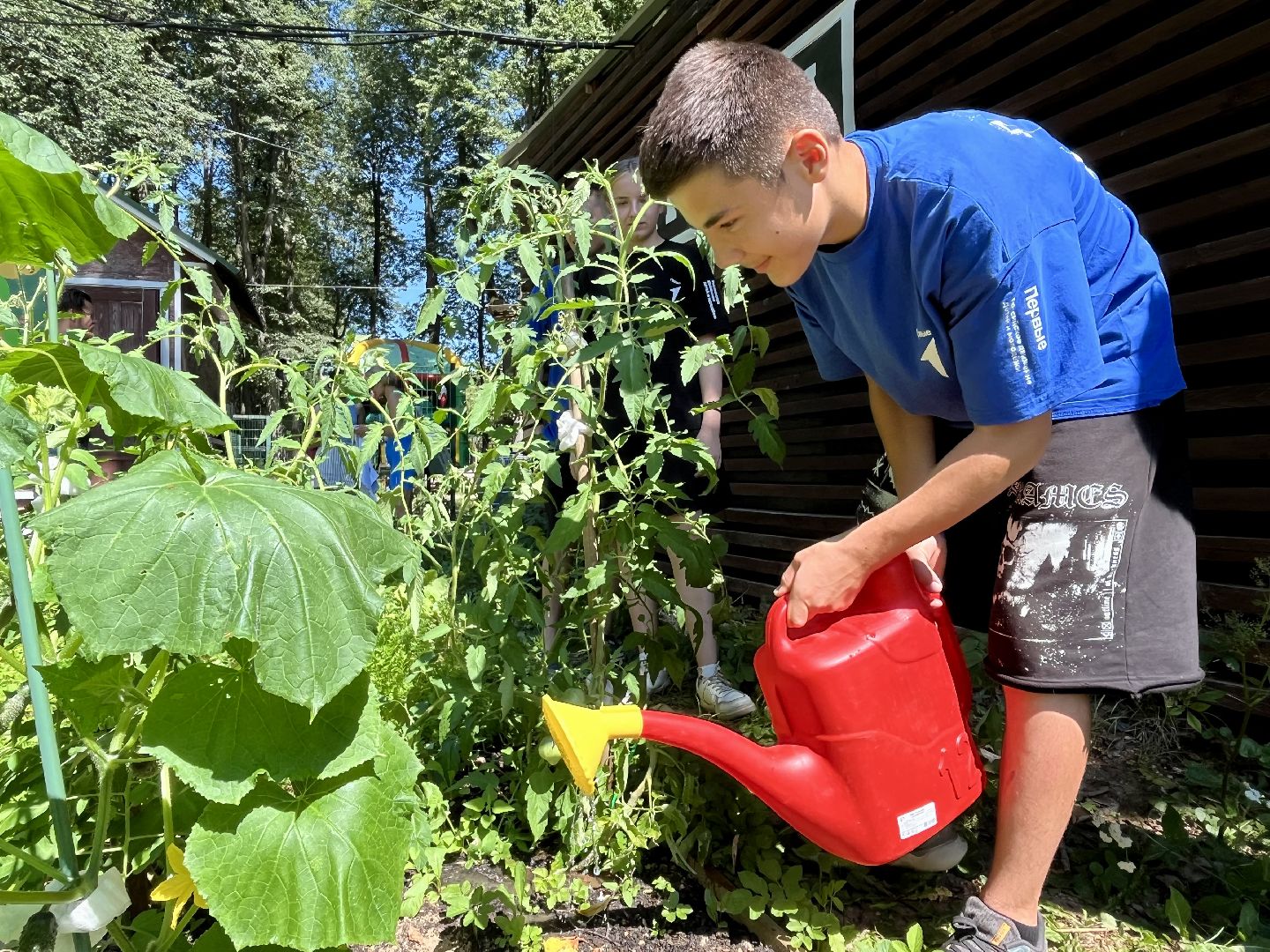 наро-фоминск, общественный огород, центральный парк наро-фоминска, урожай 2024,