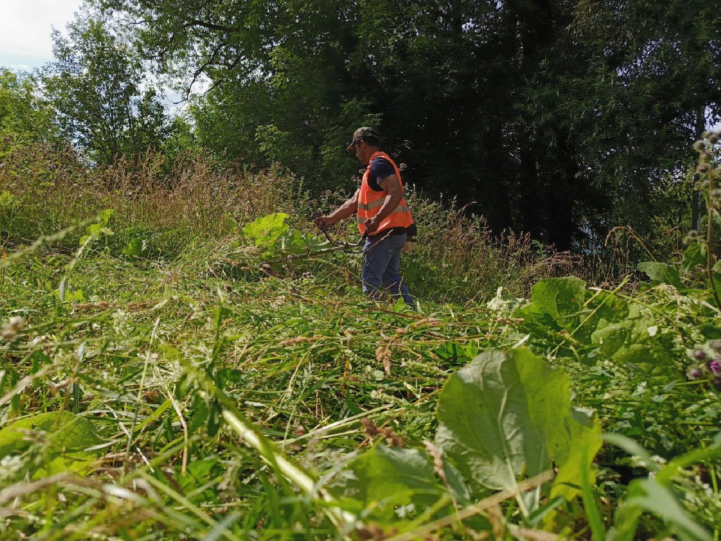 Солнечногорск, Уборка двора, Покос травы, Детская площадка, Жители,