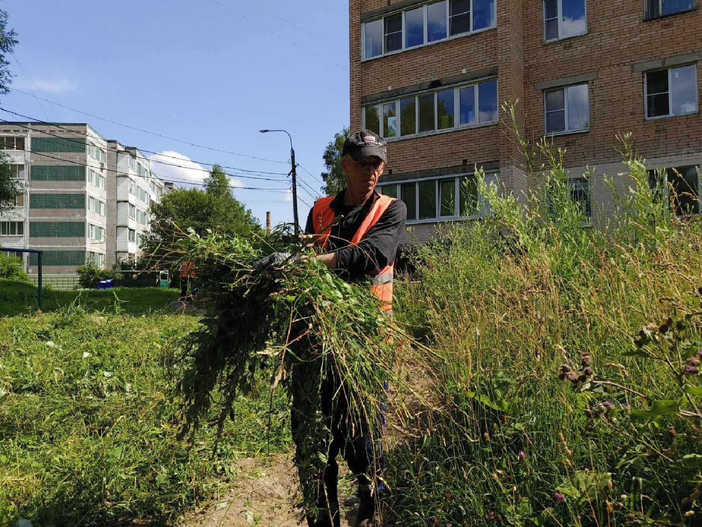 Солнечногорск, Уборка двора, Покос травы, Детская площадка, Жители,
