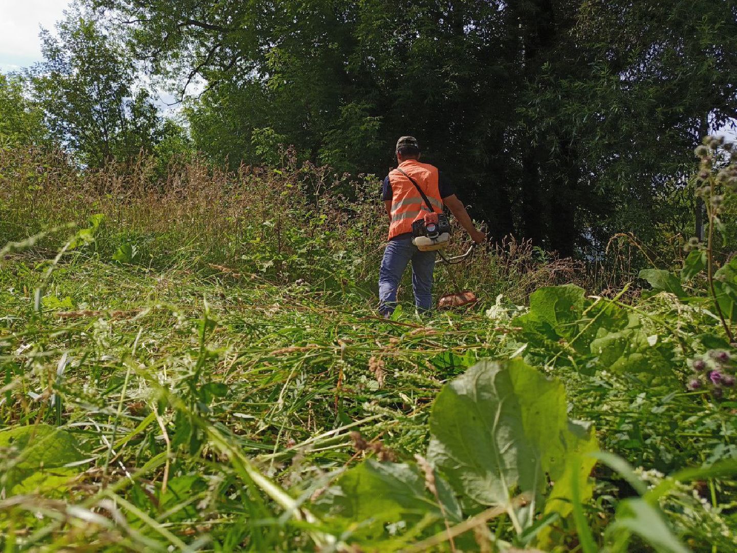 Солнечногорск, Уборка двора, Покос травы, Детская площадка, Жители,