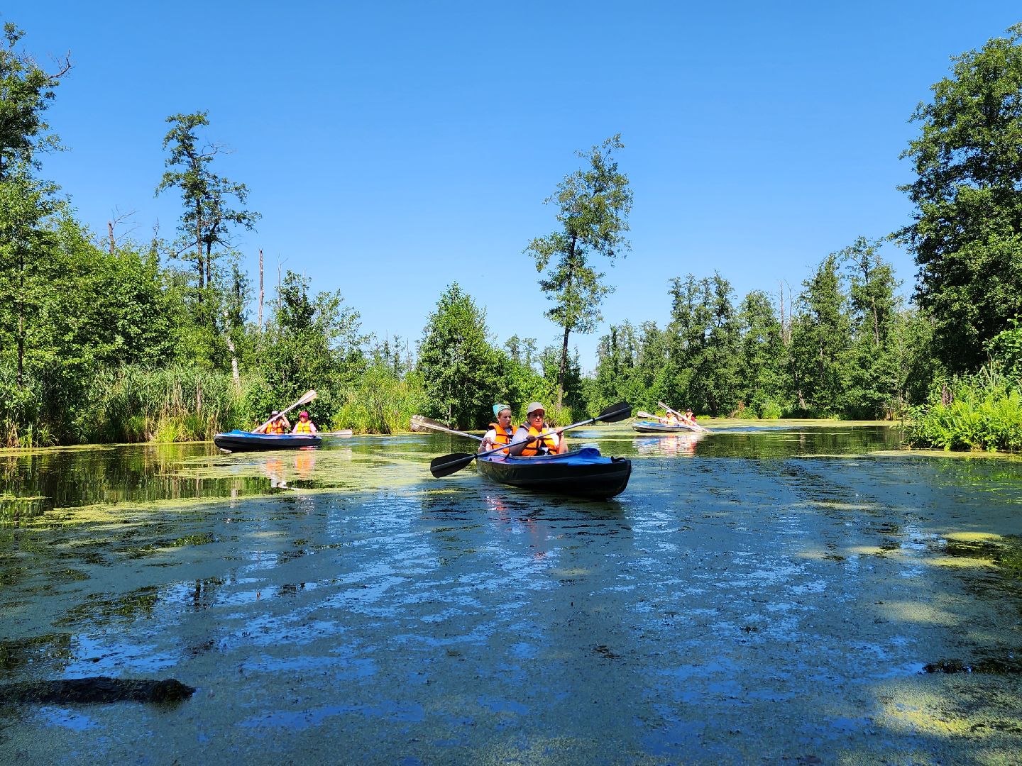 лосиный остров, байдарки, Экскурсия,
