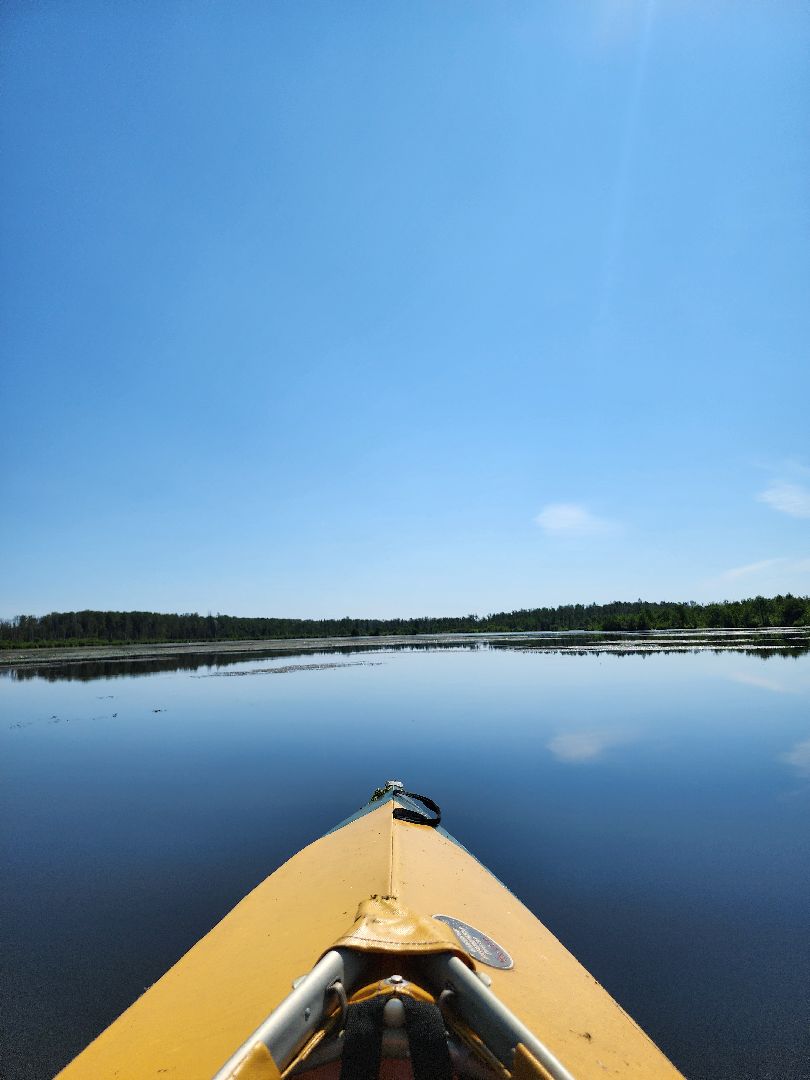 лосиный остров, байдарки, Экскурсия,