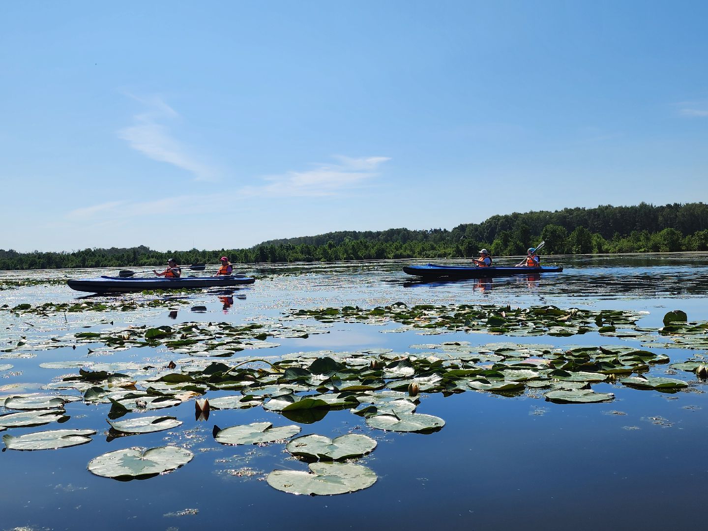 лосиный остров, байдарки, Экскурсия,