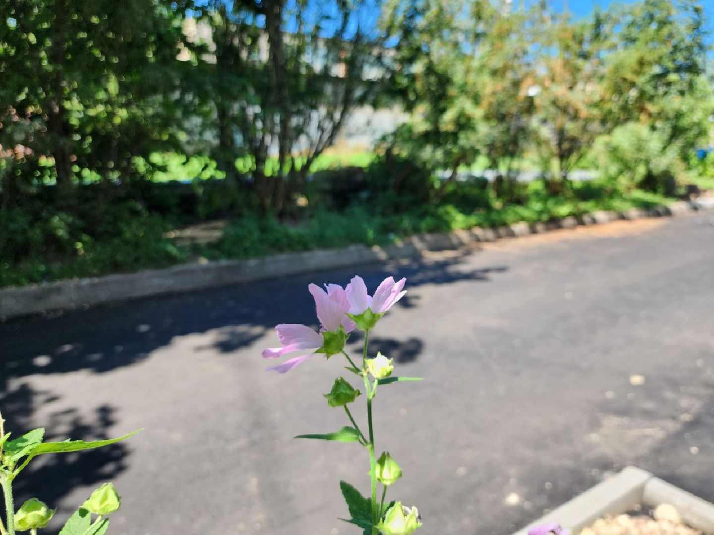 можайск, можайский городской округ, подмосковье, дворовые территории, дворы, благоустройство дворов, формирование комфортной городской среды, нацпроект, президентский проект,
