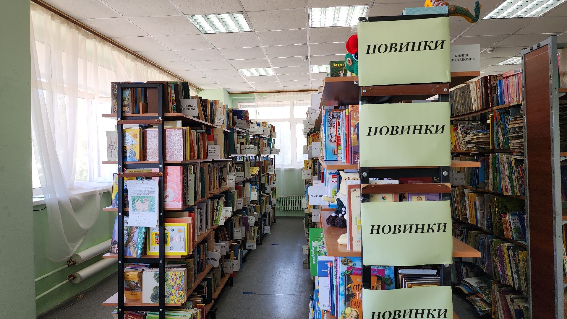 библиотека, библиотека имени Пушкина, книги, Ногинск, Богородский городской округ,