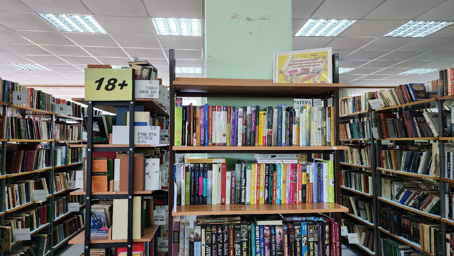 библиотека, библиотека имени Пушкина, чтение, Ногинск, Богородский городской округ,