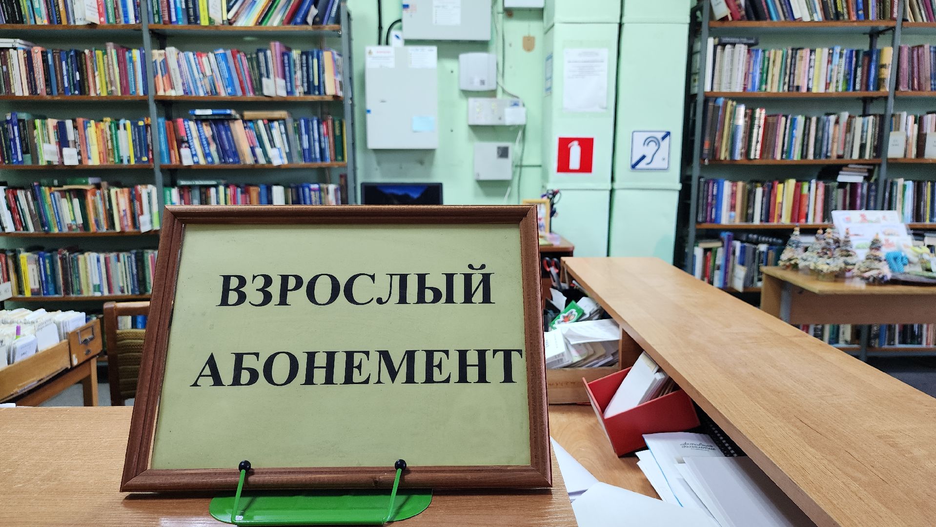библиотека, библиотека имени Пушкина, чтение, Ногинск, Богородский городской округ,