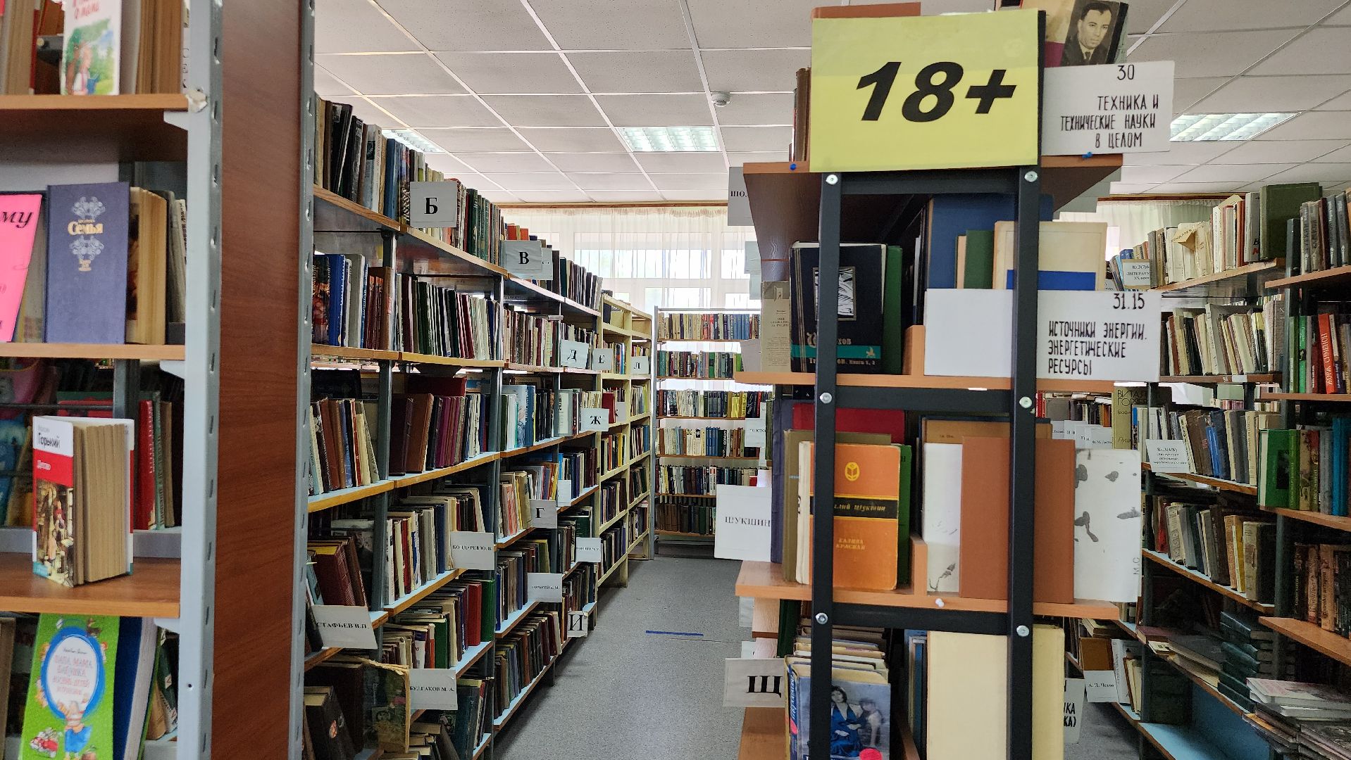 библиотека, библиотека имени Пушкина, чтение, Ногинск, Богородский городской округ,