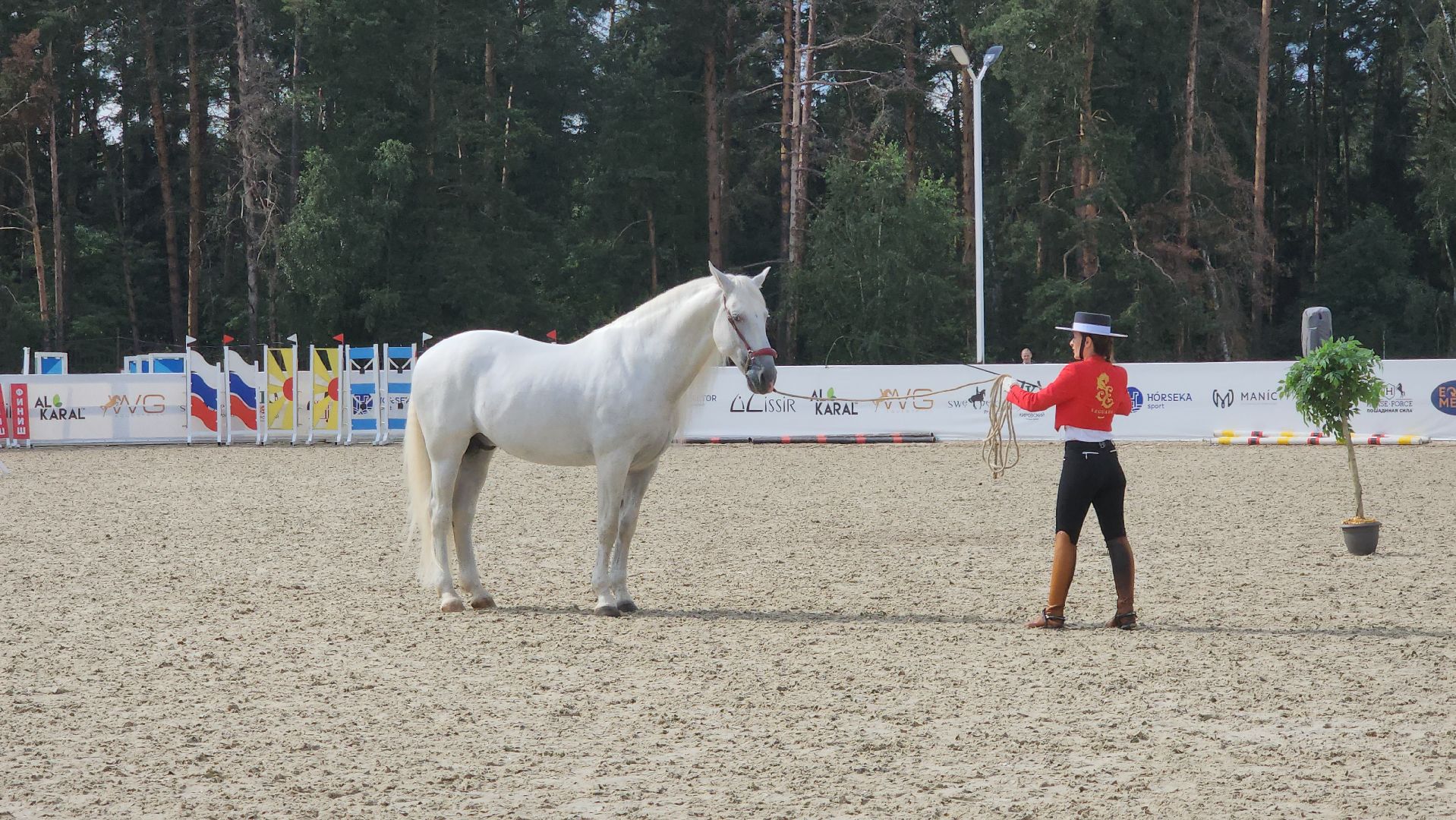 Иваново поле, Международный конный фестиваль, лошади, село Ивановское, городской округ Черноголовка,