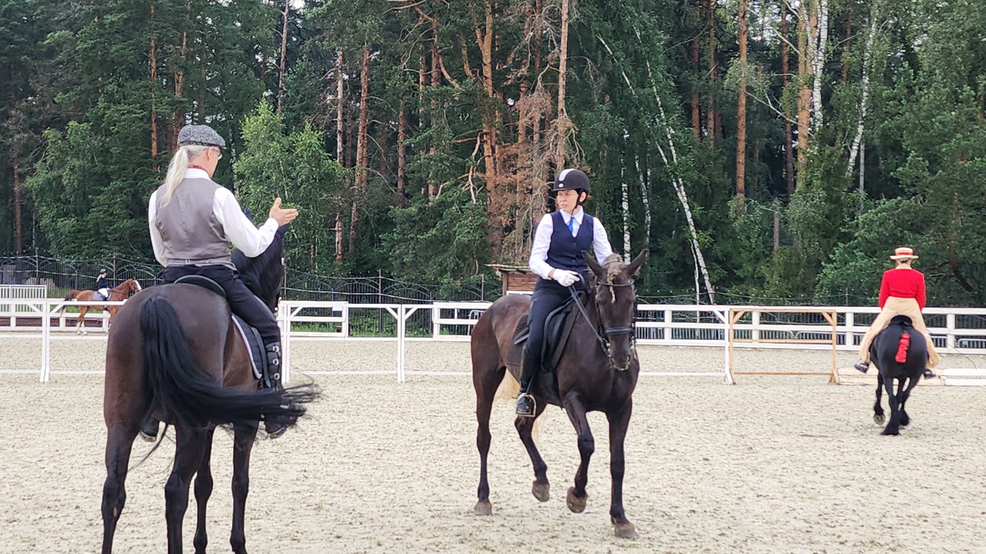 Иваново поле, Международный конный фестиваль, лошади, село Ивановское, городской округ Черноголовка,